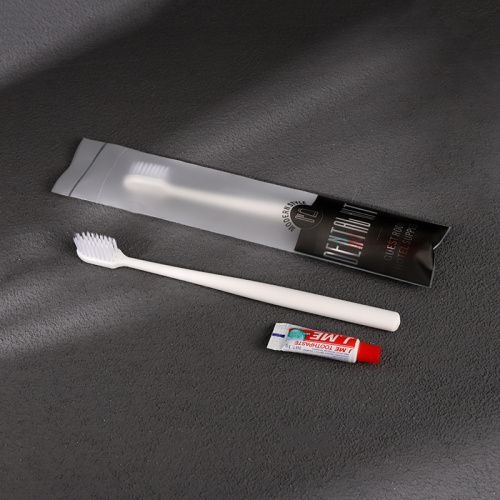 Disposable Toothbrush Set