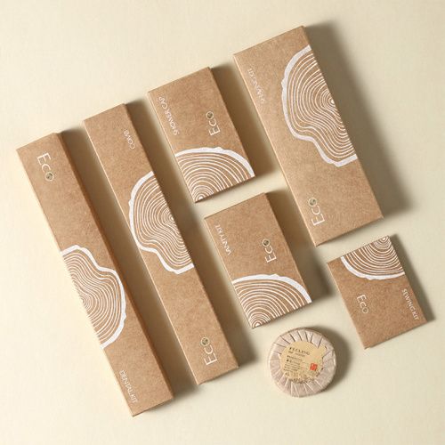 Disposable Toothbrush Set