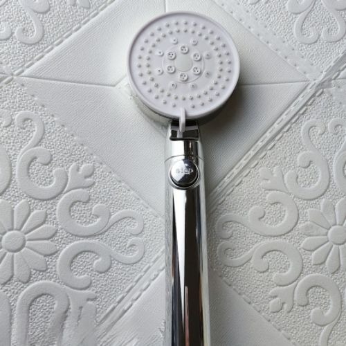 Hotel Shower Head